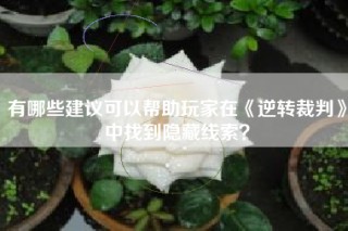 有哪些建议可以帮助玩家在《逆转裁判》中找到隐藏线索？