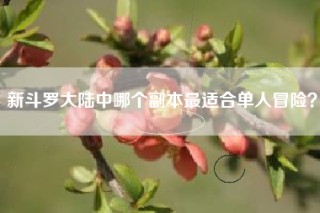 新斗罗大陆中哪个副本最适合单人冒险？