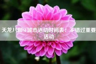 天龙八部SF城市活动时间表：不错过重要活动