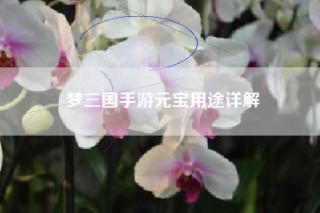 梦三国手游元宝用途详解