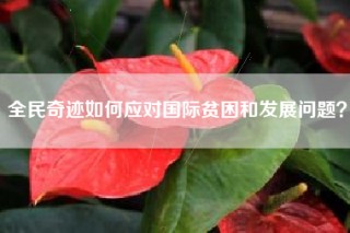 全民奇迹如何应对国际贫困和发展问题？