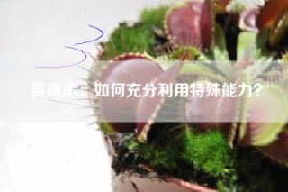 英雄杀：如何充分利用特殊能力？
