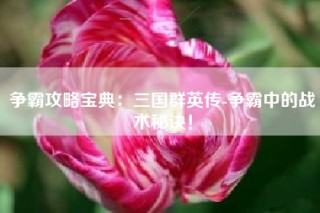 争霸攻略宝典：三国群英传-争霸中的战术秘诀！