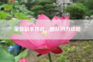 家族副本挑战：团队协力攻略