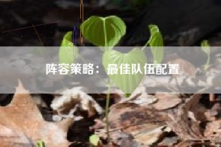 阵容策略：最佳队伍配置