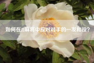 如何在JJ麻将中应对对手的一发和役？