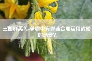 三国群英传-争霸中有哪些合理运用战略的场景？
