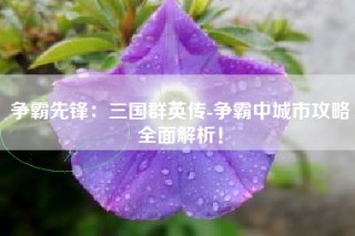 争霸先锋：三国群英传-争霸中城市攻略全面解析！