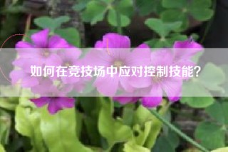 如何在竞技场中应对控制技能？