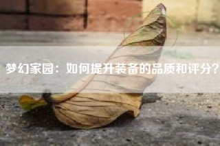 梦幻家园：如何提升装备的品质和评分？