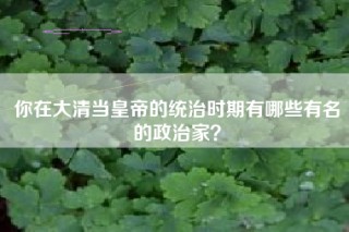 你在大清当皇帝的统治时期有哪些有名的政治家？