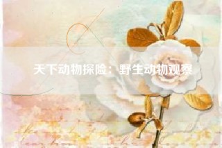 天下动物探险：野生动物观察