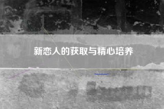 新恋人的获取与精心培养