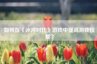 如何在《冰河时代》游戏中提高游戏技能？