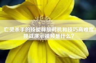 亡灵杀手的技能释放时机和技巧高难度挑战演示视频是什么？