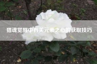 猎魂觉醒中有关元素之心的获取技巧