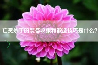 亡灵杀手的装备收集和锻造技巧是什么？