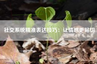 社交系统精准表达技巧：让情感更贴切