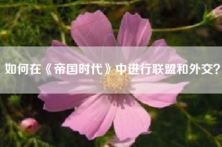 如何在《帝国时代》中进行联盟和外交？