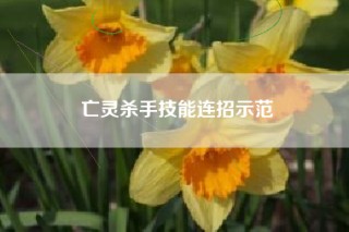 亡灵杀手技能连招示范