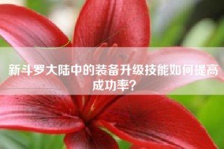 新斗罗大陆中的装备升级技能如何提高成功率？