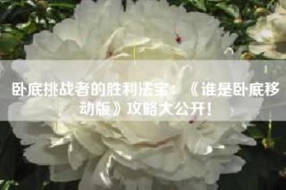 卧底挑战者的胜利法宝：《谁是卧底移动版》攻略大公开！