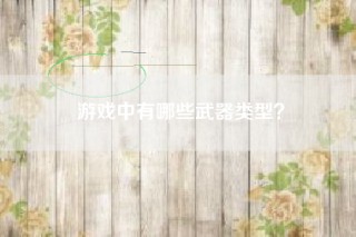 游戏中有哪些武器类型？