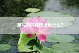 游戏中的竞技场是什么？