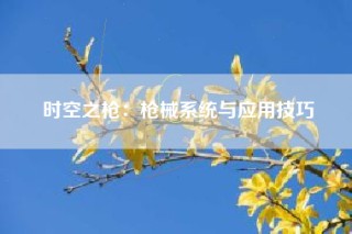 时空之枪：枪械系统与应用技巧