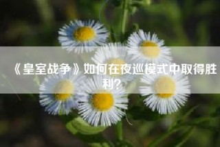 《皇室战争》如何在夜巡模式中取得胜利？