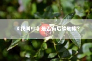《我叫MT》是否有后续剧集？