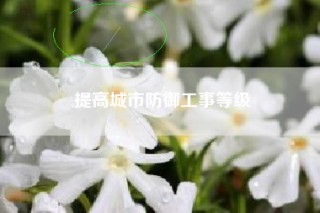 提高城市防御工事等级