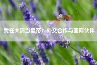 我在大清当皇帝：外交合作与国际伙伴