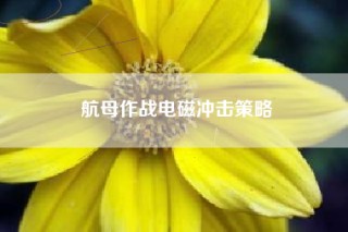 航母作战电磁冲击策略
