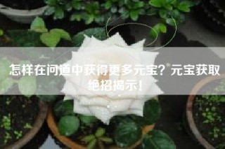 怎样在问道中获得更多元宝？元宝获取绝招揭示！