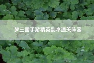 梦三国手游精英副本通关阵容