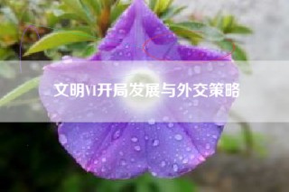 文明VI开局发展与外交策略