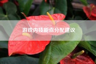 游戏内技能点分配建议