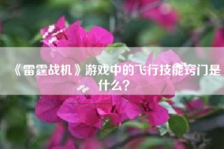 《雷霆战机》游戏中的飞行技能窍门是什么？