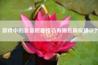 游戏中的装备附魔技巧有哪些高级建议？