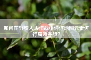 如何在野蛮人大作战中通过地图元素进行高效夺旗？