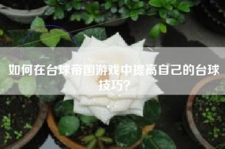 如何在台球帝国游戏中提高自己的台球技巧？