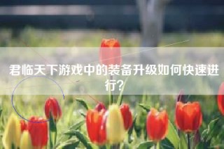 君临天下游戏中的装备升级如何快速进行？