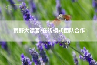 荒野大镖客2在线模式团队合作