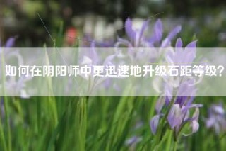 如何在阴阳师中更迅速地升级石距等级？