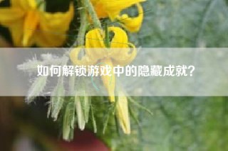 如何解锁游戏中的隐藏成就？