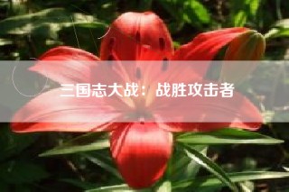 三国志大战：战胜攻击者