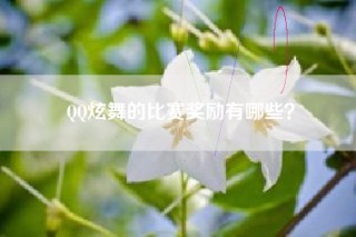 QQ炫舞的比赛奖励有哪些？