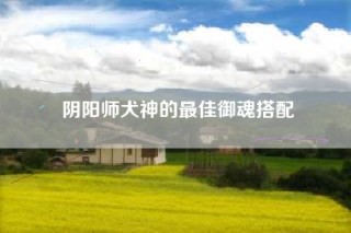 阴阳师犬神的最佳御魂搭配