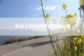奇迹之剑中的道德选择后果